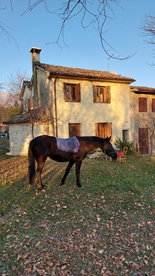 La Caneveta Al Piave Villa Valdobbiadene Luaran gambar