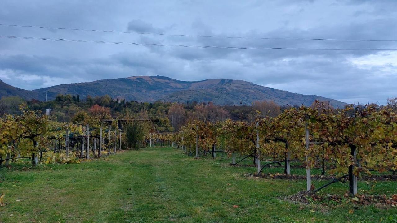 La Caneveta Al Piave Valdobbiadene Luaran gambar