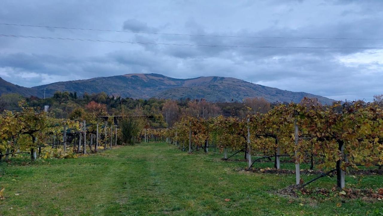 La Caneveta Al Piave Villa Valdobbiadene Luaran gambar