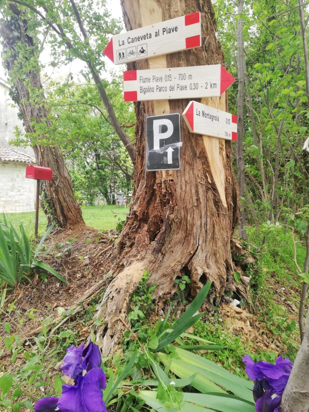 La Caneveta Al Piave Valdobbiadene Luaran gambar